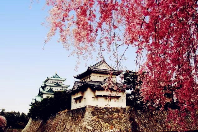 五天三晚之邂逅名古屋，新奇的日本之旅