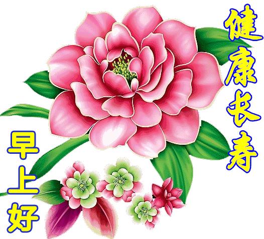 早安正能量句子带图片大雪,大雪天早安语图片