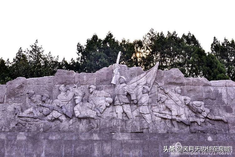 济南一颗梧桐树,济南的法国梧桐