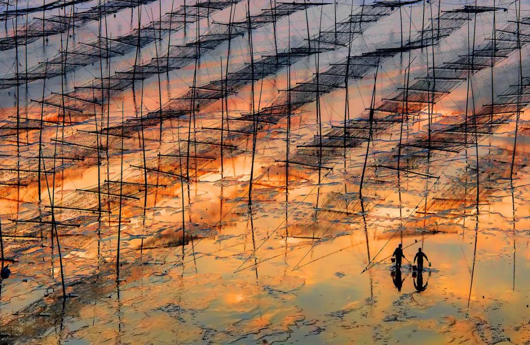 中国最美渔村霞浦,霞浦最美滩涂在哪