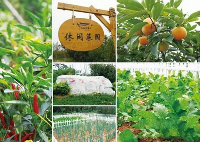 鍚戝線涔嬪,鍚戝線涔嬪瑁呴グ