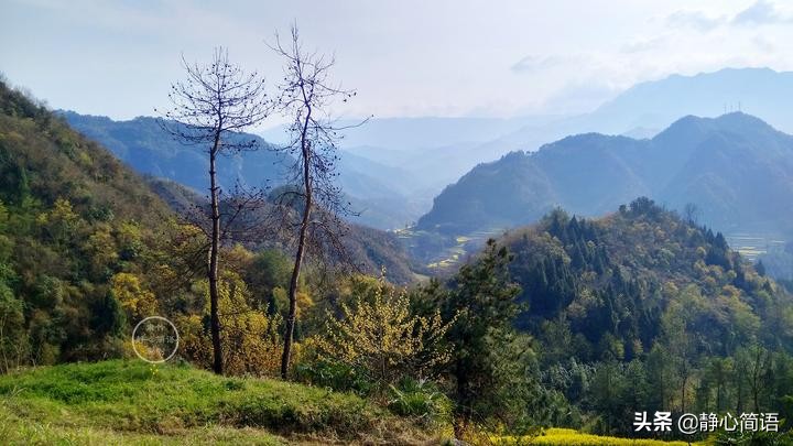 期待秋天的夜晚,期待秋天的雨