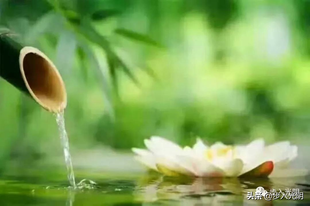 我外爷的智慧（文：颜敏）