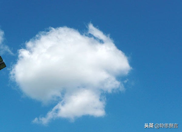 十首顶级哲理诗词名句,经典诗句励志古诗句