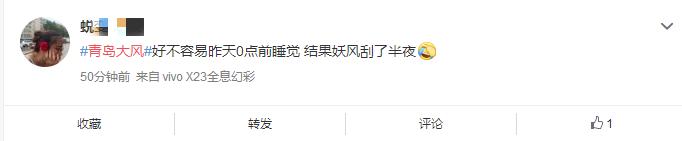 青岛10级大风人员伤亡,山东省青岛市大风预警