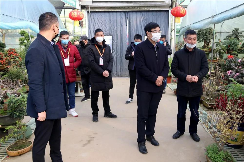 宿迁市沭阳县沭阳国际花木城,沭阳国际花木城布局