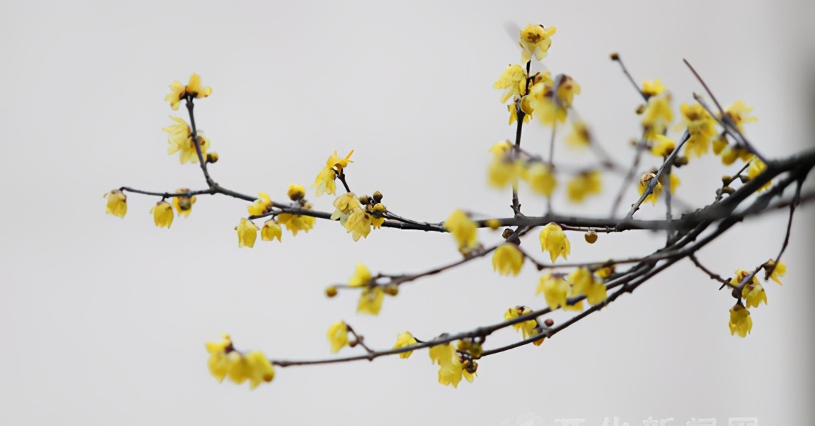 故事：借宿舅家总被嫌弃，那天舅舅趁母亲不在，把我卖给瞎眼大娘