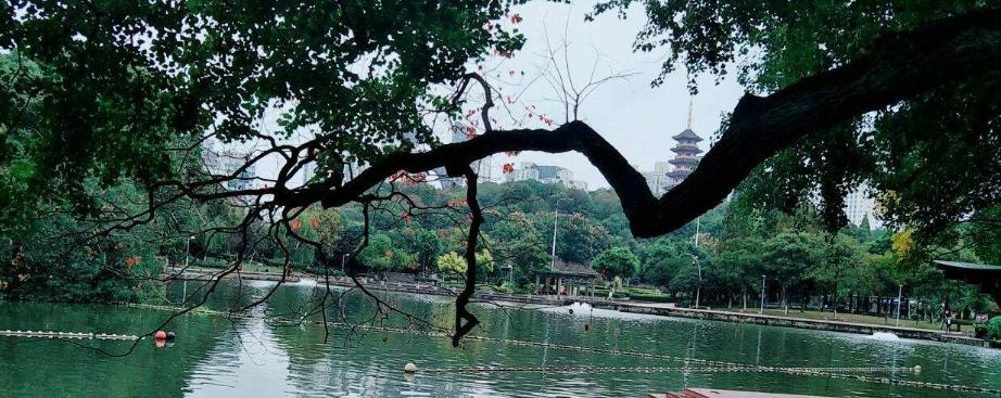 温州景山公园门票,温州有哪些免费的公园