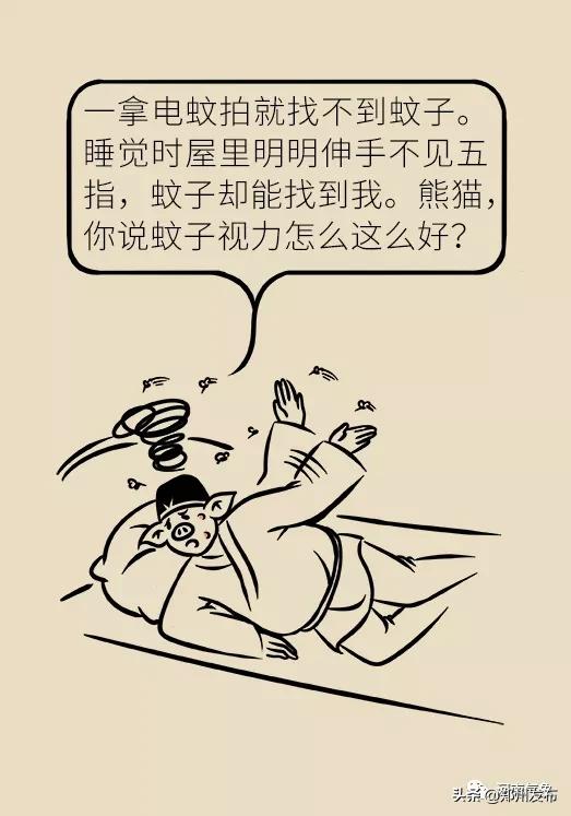 被蚊子吵得睡不着觉怎么发朋友圈,晚上用电风扇被蚊子吵得睡不着