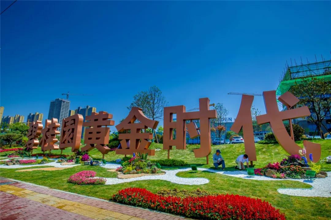 碧桂园南北通透户型讲解,碧桂园120户型分析与大师讲解