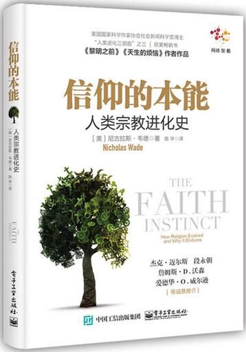 宗教起源伊斯兰教,伊斯兰教各个宗教的起源