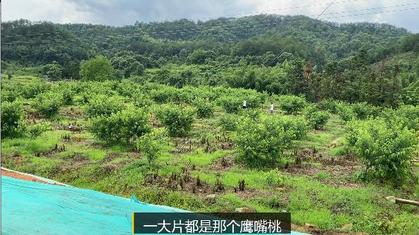 当今农村人靠什么可以致富,农村小伙发家致富的真实经历