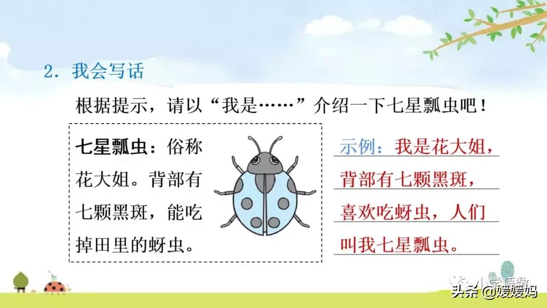二年级下册我是一只小虫子课后题,二年级下册语文11我是一只小虫子
