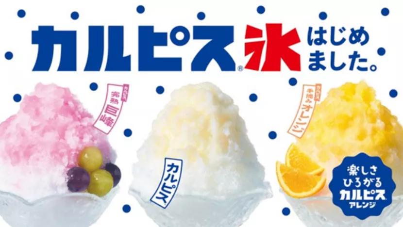 可尔必思营销启示,可尔必思营销方案