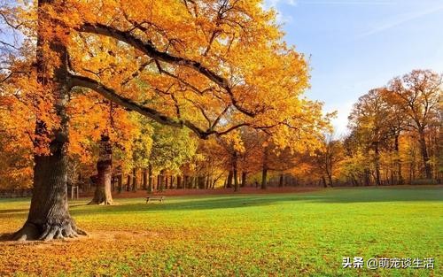 分手想不开怎么劝解,分手后的最佳解决方法