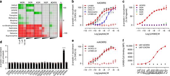 “神奇新药”有望治疗多种疾病：癌症、疼痛、抑郁|Nature子刊