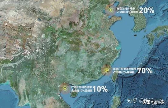 玛塔牡蛎钙哪种最好,玛塔牡蛎钙使用方法