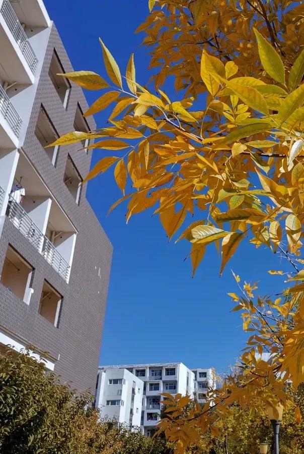 辽宁省高校（三十一）大连医科大学