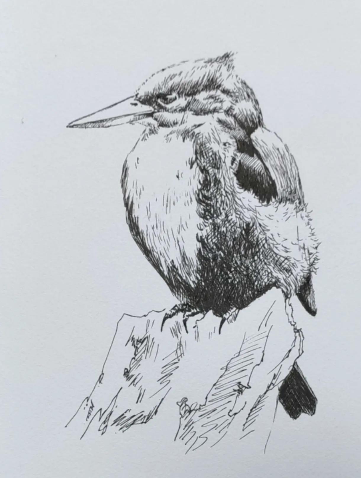 幸福原创绘画作品欣赏,幸福原创画作品