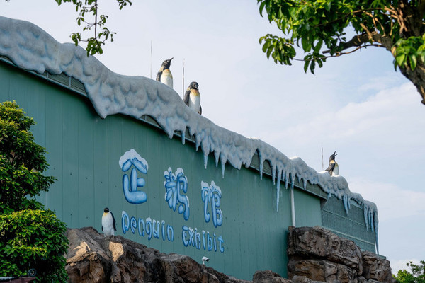 珠海长隆旅游攻略一天自由行,珠海长隆旅游攻略三天自由行