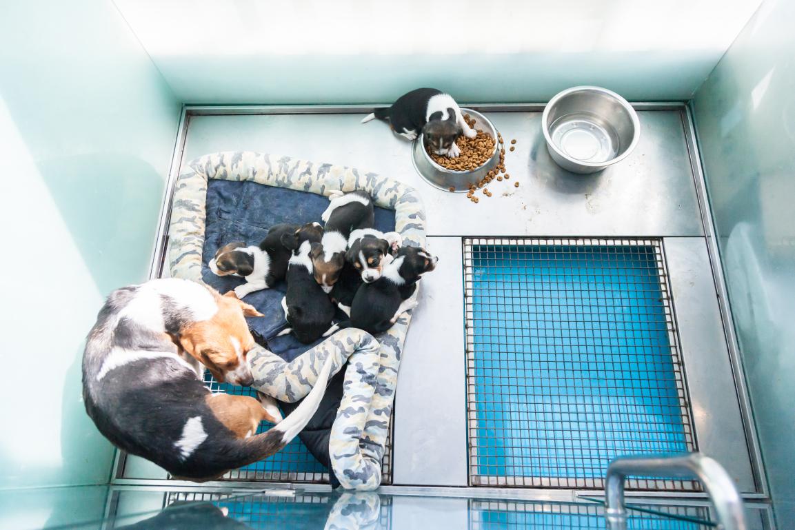 38万可以做什么,38万能做什么