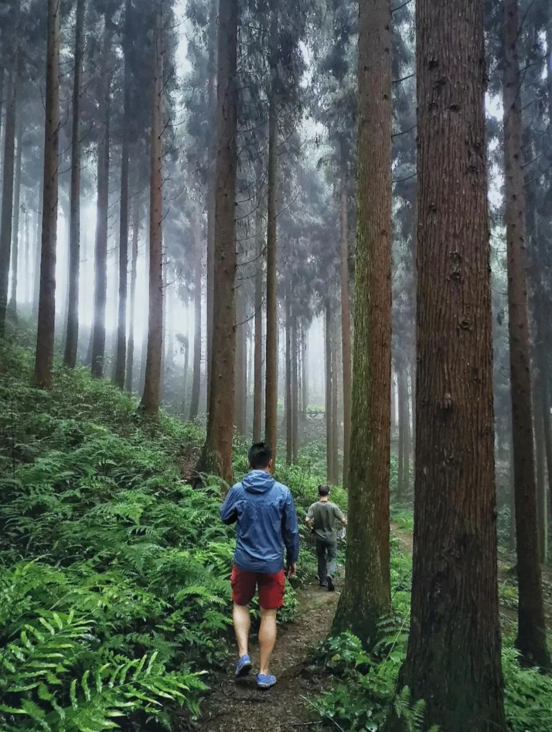 成都耍水的地方推荐适合小孩,成都免费游泳耍水的地方