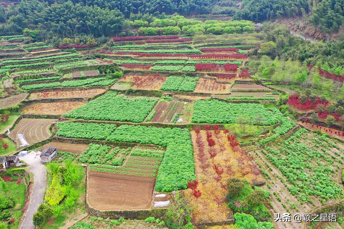 宁波牡丹花园有哪些,宁波古今牡丹园