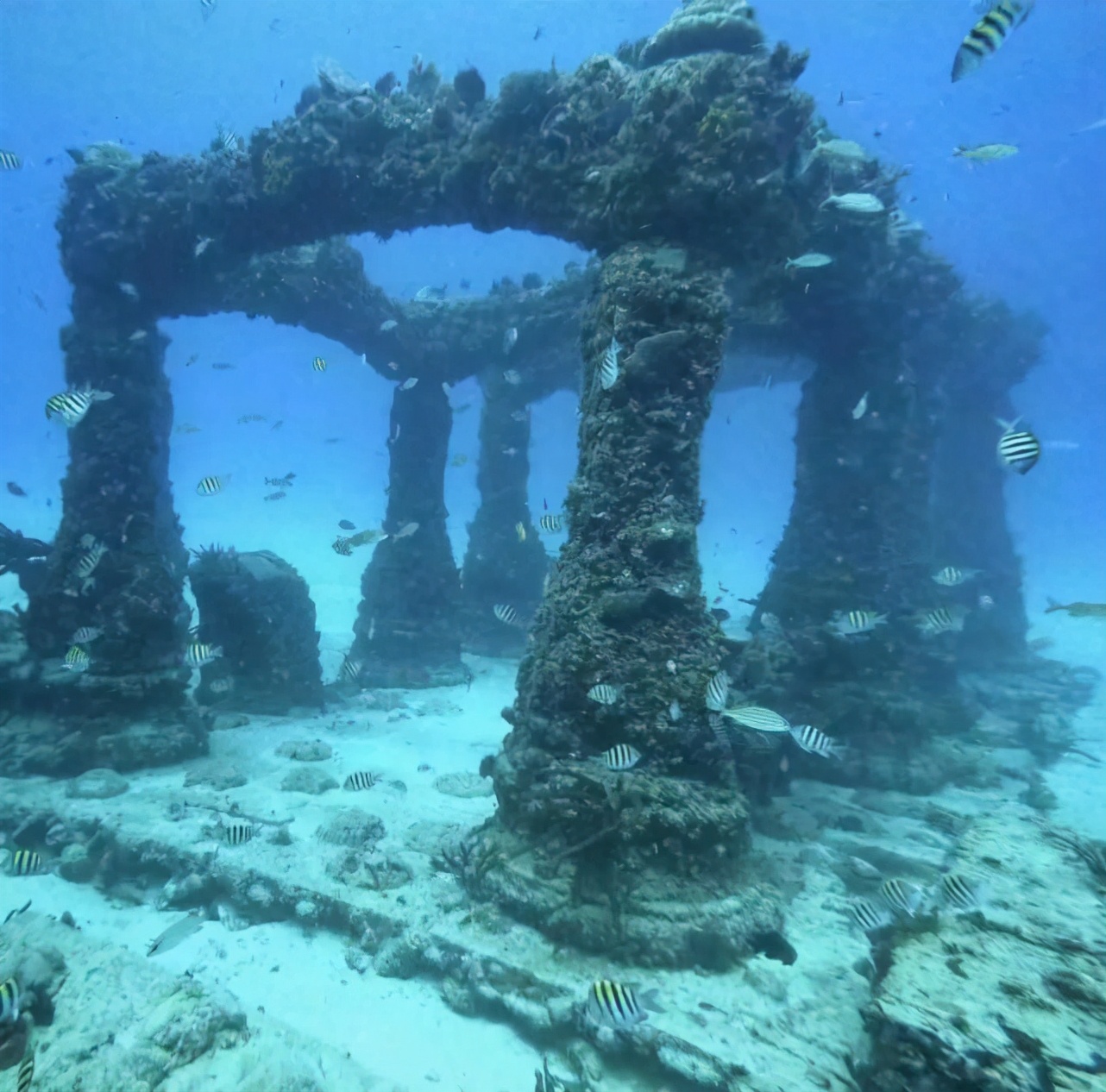 自然奇观水下世界,水下世界非常神秘而美丽