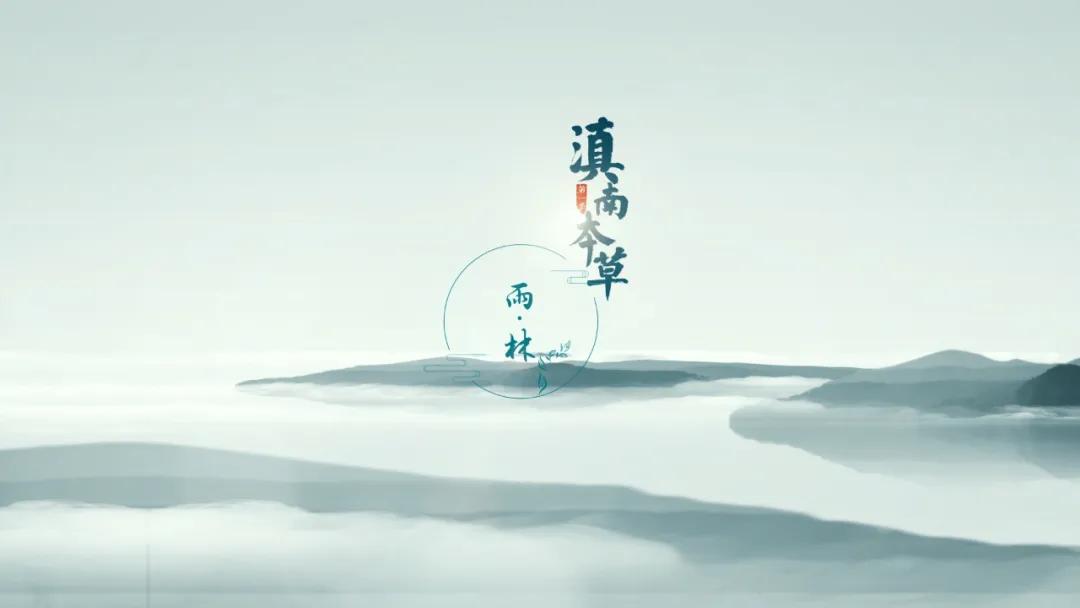 边睡觉边治疗、深山里的龙血树、形态各异的石斛，在这种独特的傣医药文化里还有更多的秘密