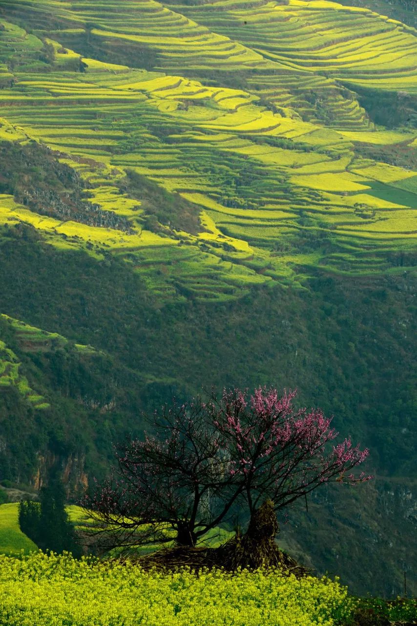 你知道世界最美的地方在哪里吗,欣赏世界上最美的80个地方
