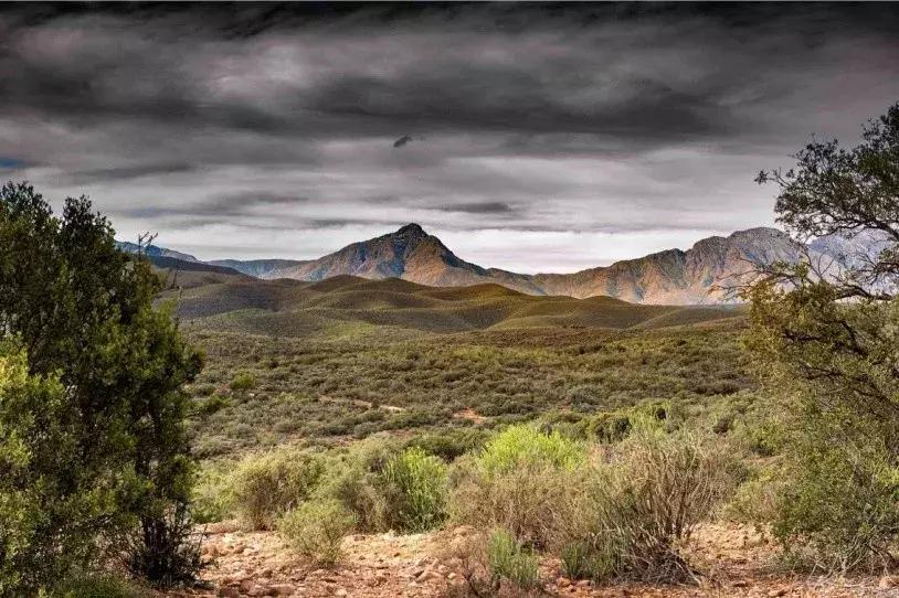 女性乳腺癌晚睡的危害,熬夜乳腺癌的风险