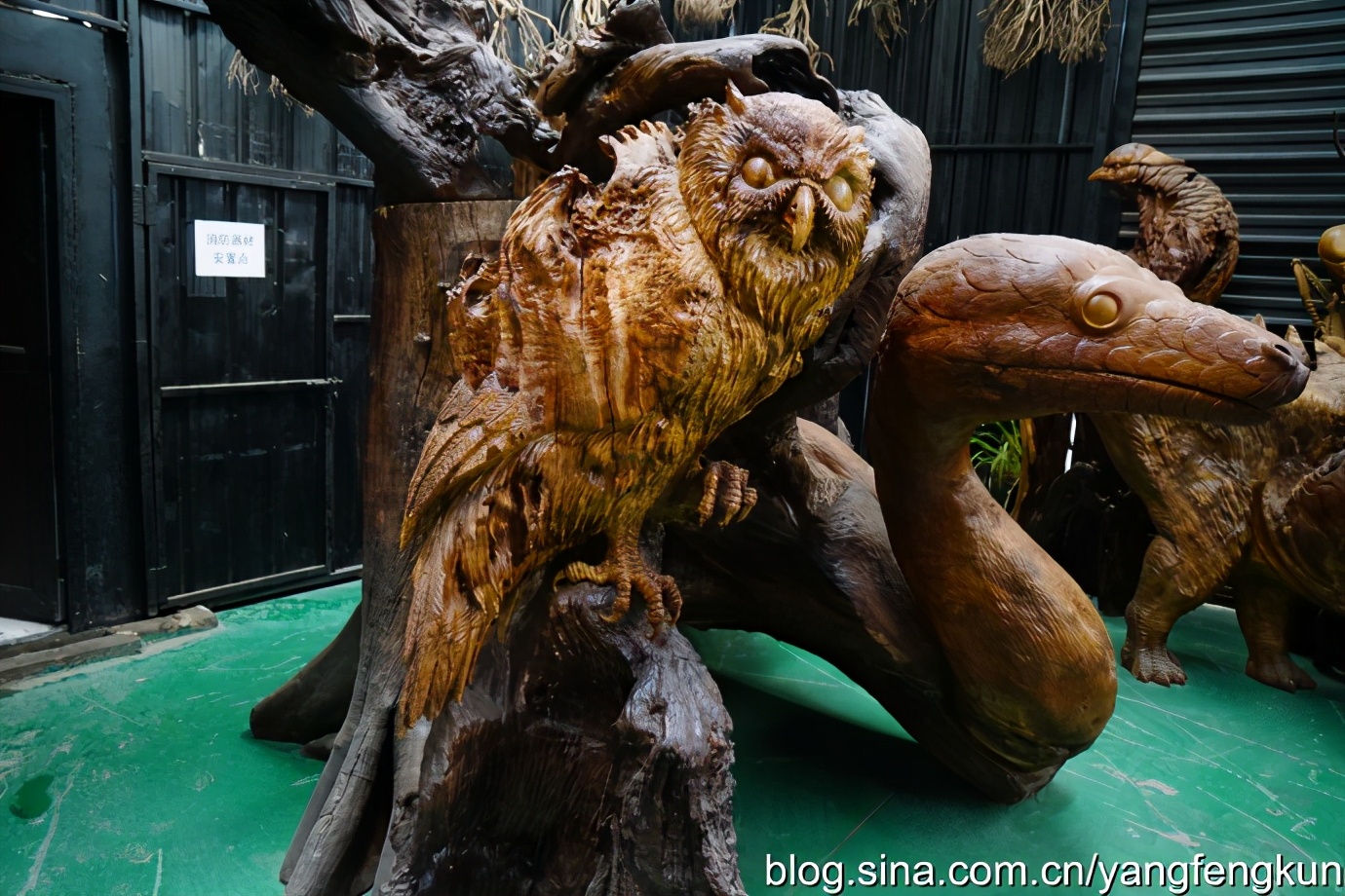 世界上最大的蜗牛介绍,全世界最大的蜗牛