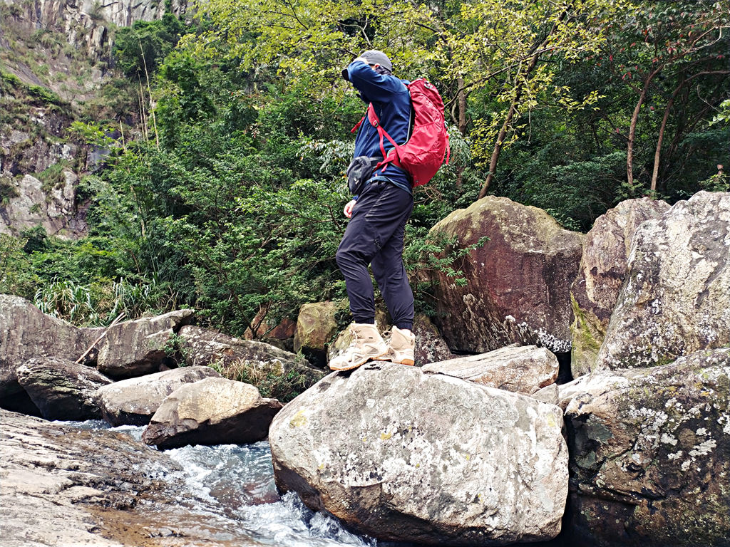 双十一买买买后的我,双十一开始剁手了吗