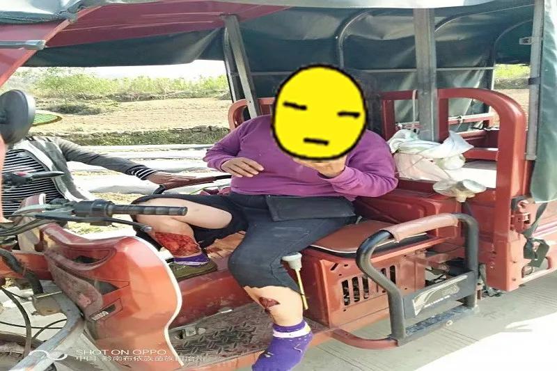 贵州一黄牛发疯,贵州一牛发疯撞人