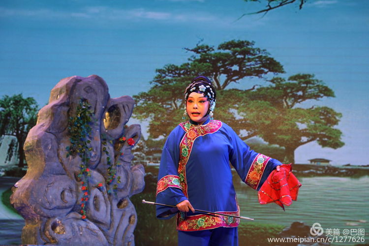 曲剧花为媒经典唱段全场,曲剧花为媒报花名完整唱段