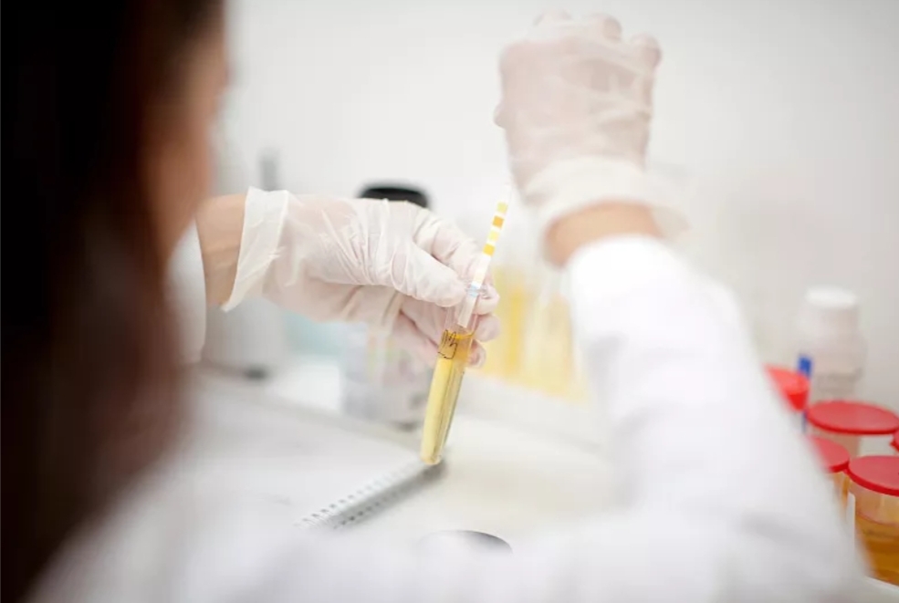 尿常规全部正常肾功能会有问题吗,每年都查肌酐还会得尿毒症吗