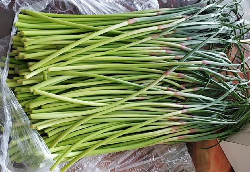 同样是黄心菜区别为啥那么大,买蒜苔红头的好还是绿头的好