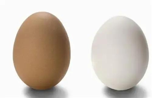 ps原位缩小复制方法,photoshop如何使用复制