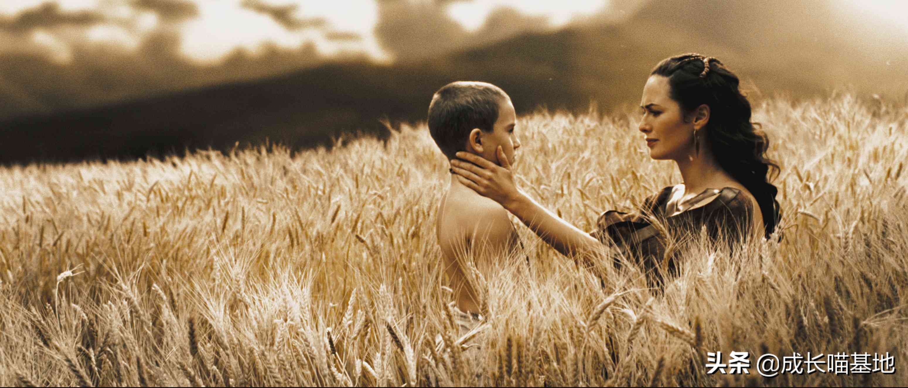 对斯多葛派哲学的看法,对斯多葛派人生观的看法