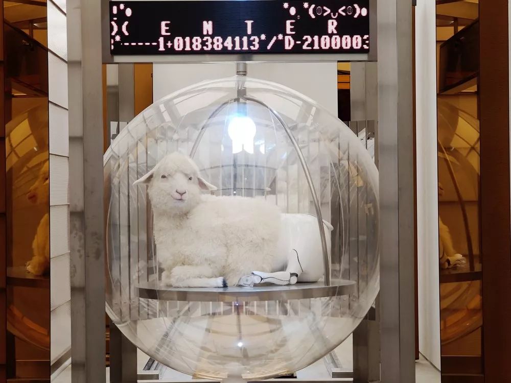 逛skp要花多少钱,第一次逛北京skp