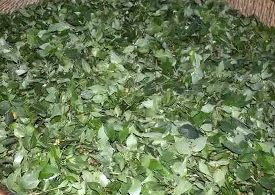 西安蓝田特色小吃,西安蓝田好吃的小吃