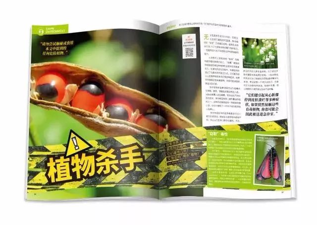 班主任推荐订的杂志，有些真是“一言难尽”|儿童杂志亲测