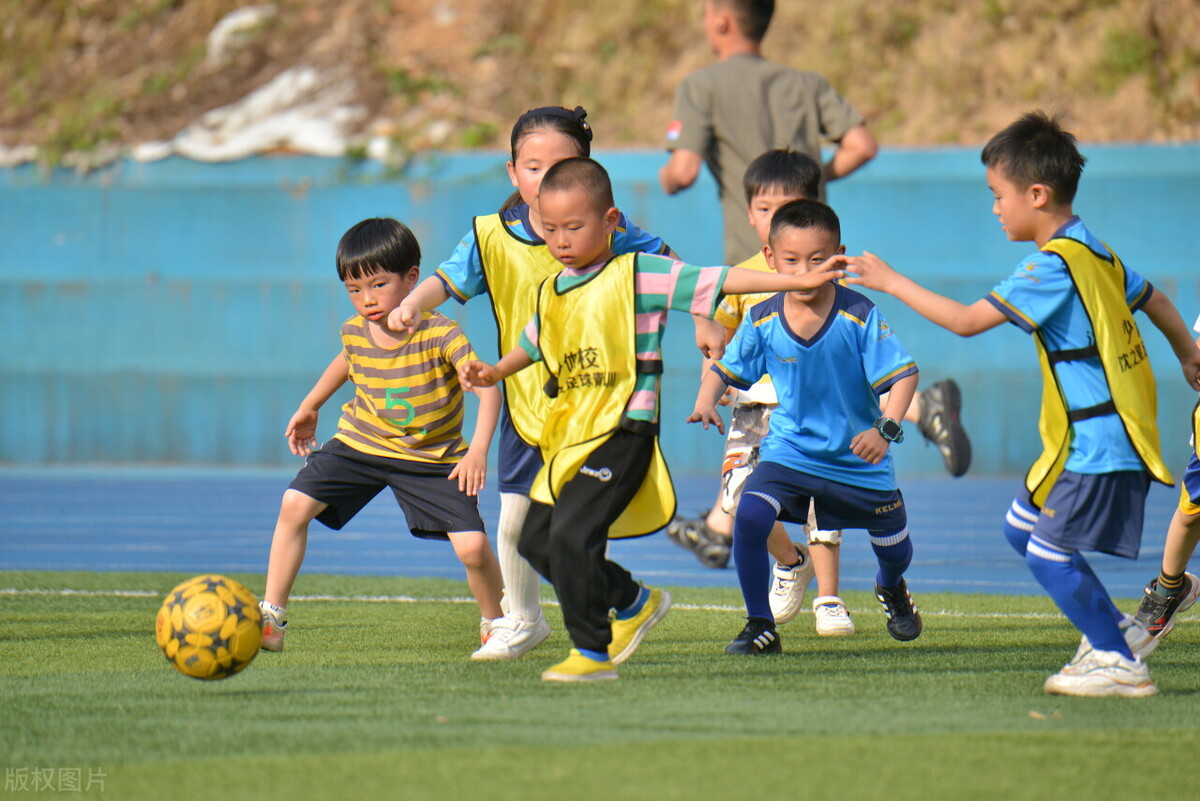 白岩松懂球么,白岩松读懂了人性
