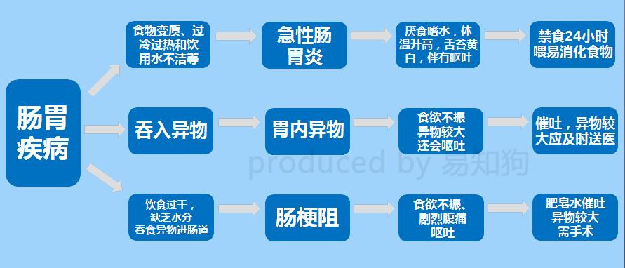 居家狗狗生活训练,日常护理狗狗皮肤不瘙痒