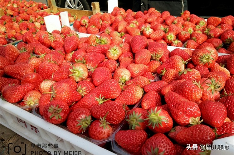 种草莓有哪些需要注意的,种草莓哪些是要注意的