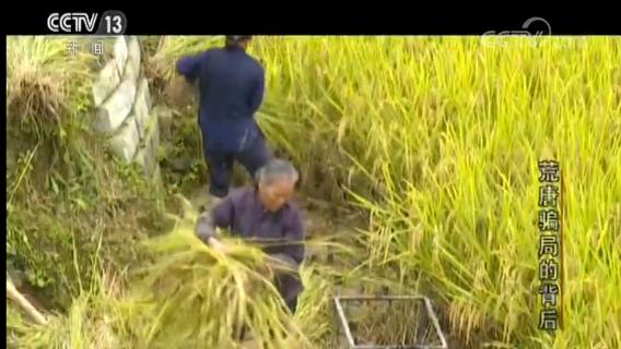 民族资产解冻案怎么判,交10元领120万国家扶持项目