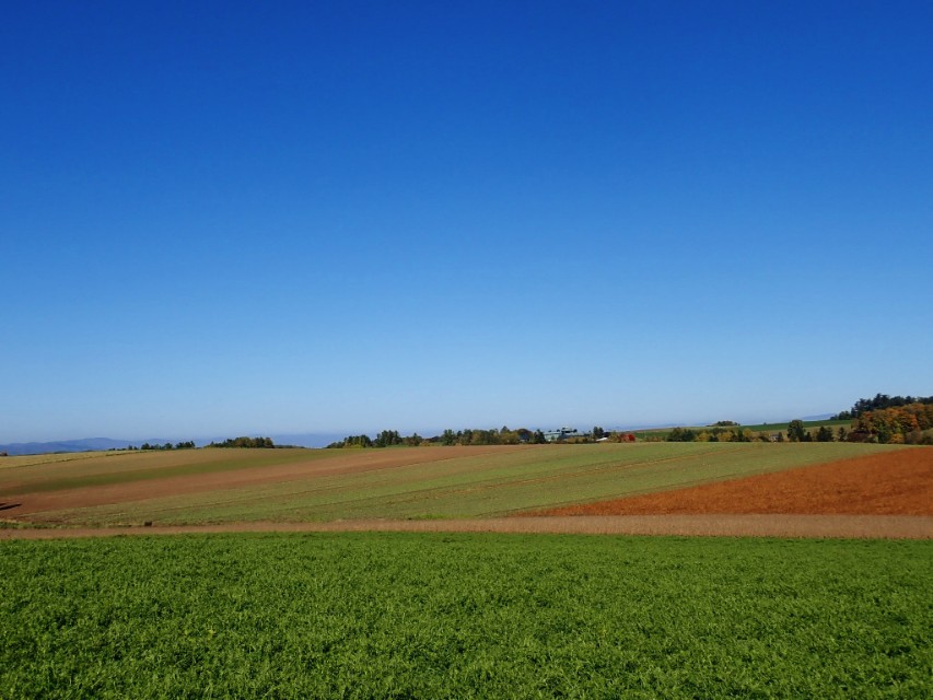 北海道登别到美瑛町需多久,日本北海道美瑛川的雪景