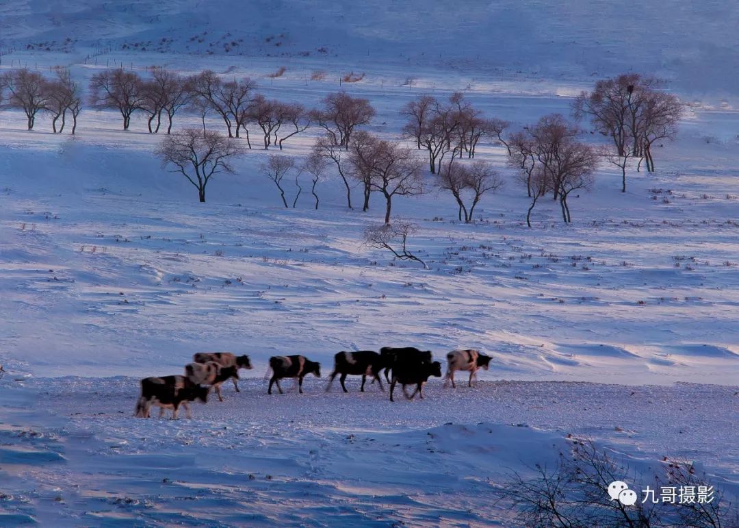 坝上草原天路美景,大美坝上风光系列之一