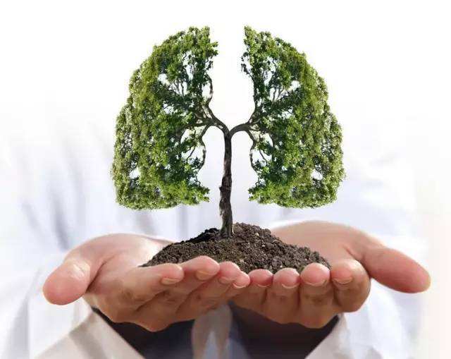 多久筛查一次能够防止肺癌晚期,目前肺癌筛查最有效的手段