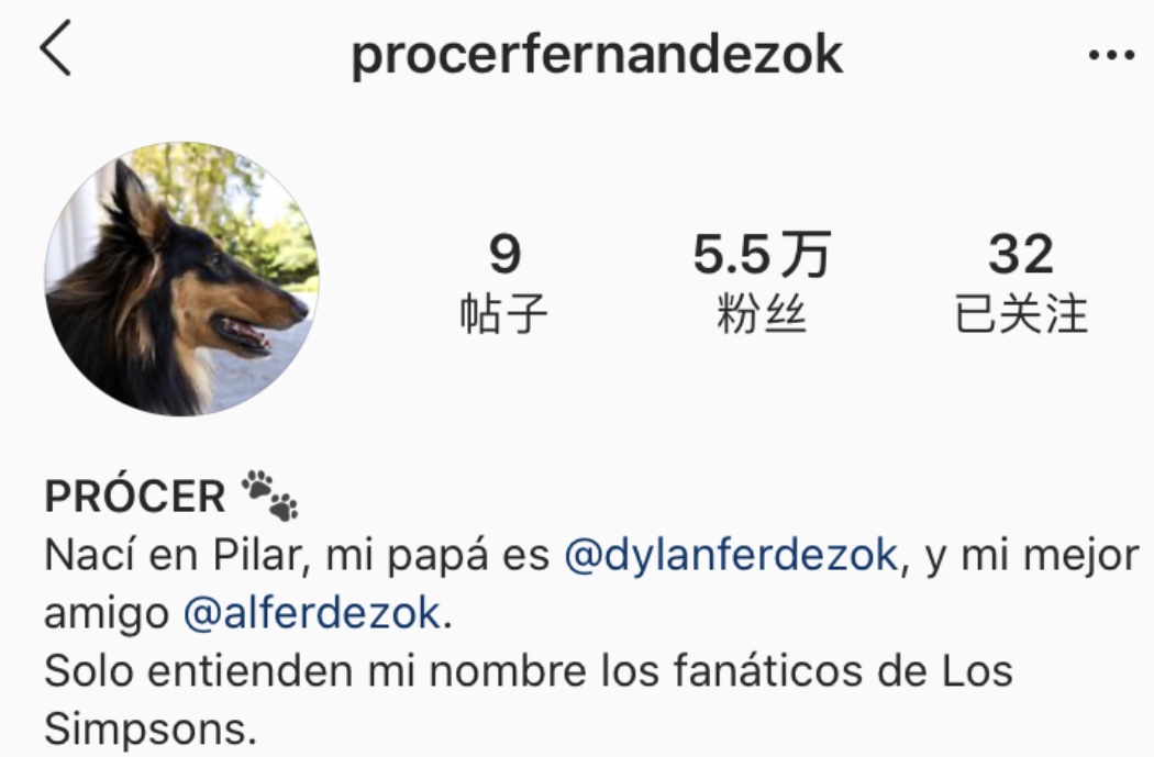 当英国的狗碰上阿根廷总统，宠爱到了极点！有谁还记得英阿世仇？